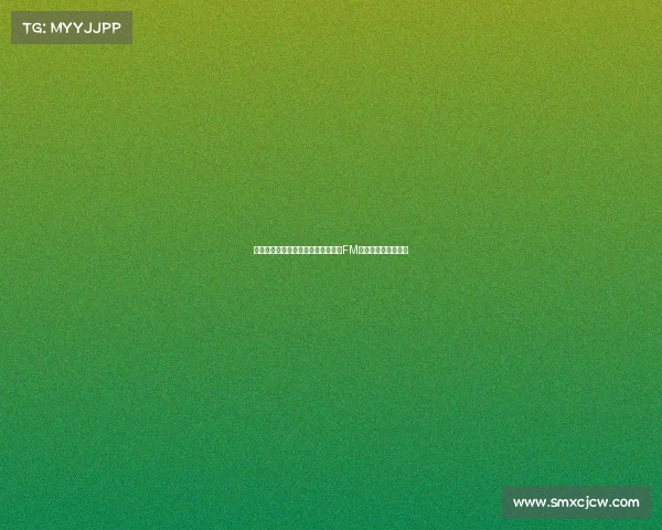 南安普顿主帅:比利时小球队也依赖FM和德转数据工具分析 南安普顿主帅:比利时小球队也依赖FM和德转数据工具分析